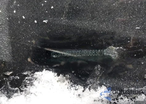 2024 Hyundai Palisade Calligraphy from USA, damaged, VIN KM8R7DGE0RU683010